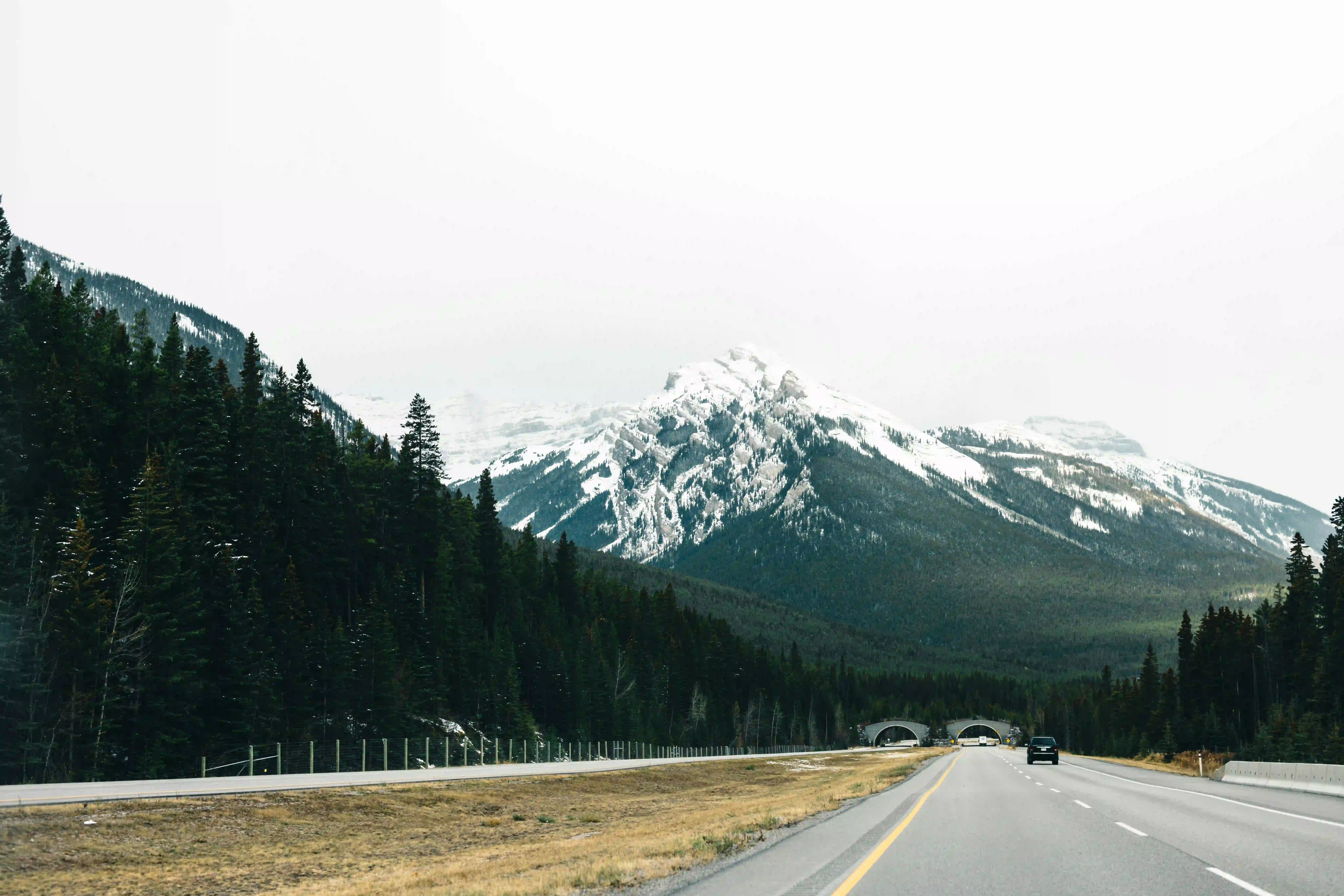 Driving from Canmore to Calgary