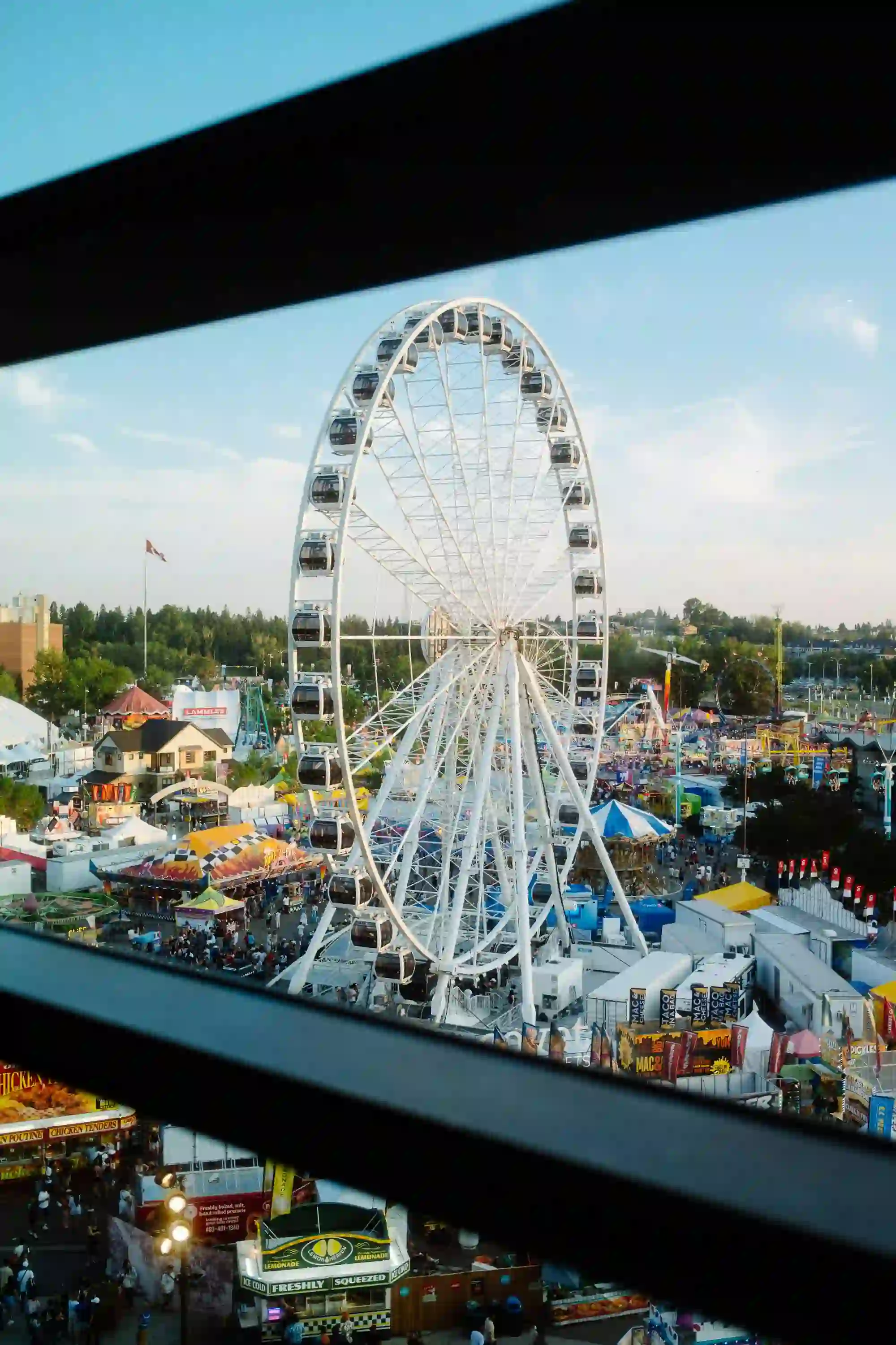 Festival crowd